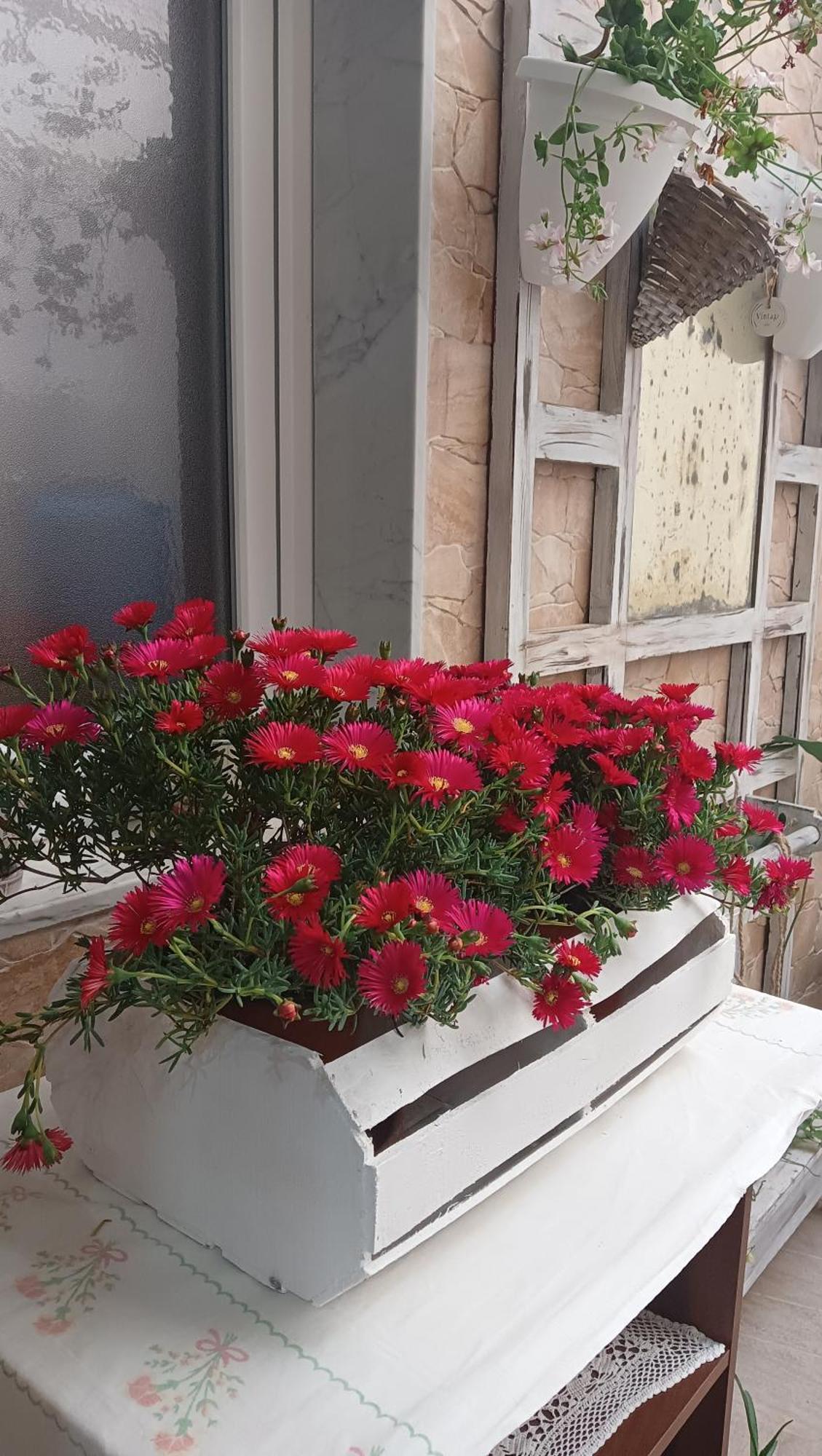 Le 3 Dee Bed and Breakfast Reggio di Calabria Kamer foto